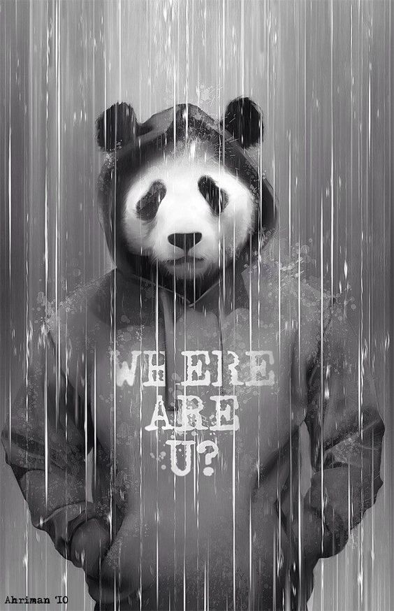 Where are you,Panda?