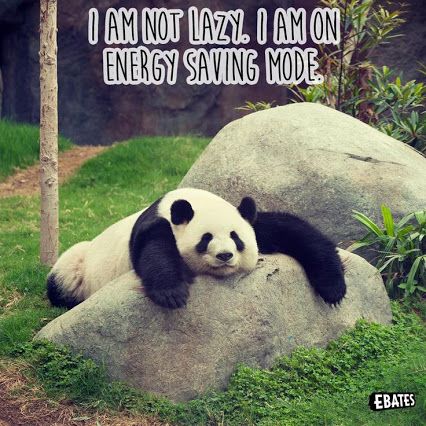 I'm not lazy. I am on energy saving mode!