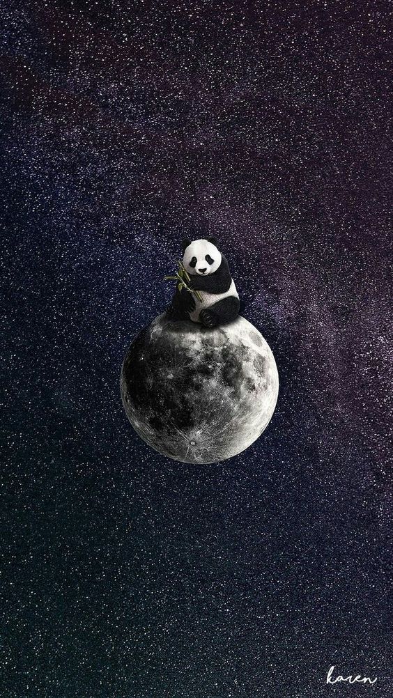 Panda on the moon